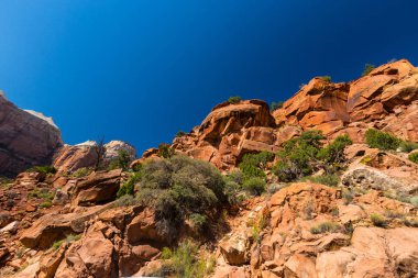 Zion National Park, ABD, parlak sahne güz