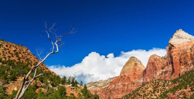 Zion National Park, ABD, parlak sahne güz