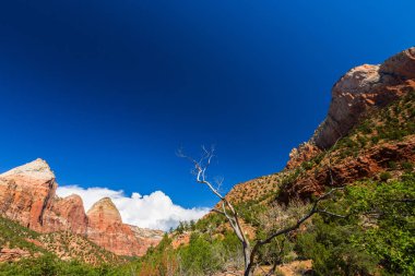 Zion National Park, ABD, parlak sahne güz
