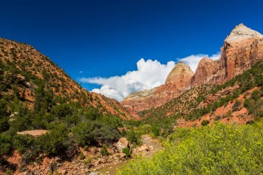 Zion National Park, ABD, parlak sahne güz