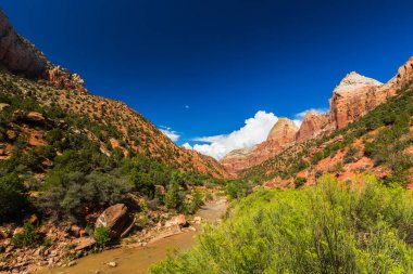 Zion National Park, ABD, parlak sahne güz