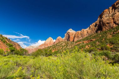 Zion National Park, ABD, parlak sahne güz