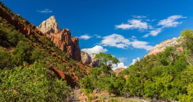 Zion National Park, ABD, parlak sahne güz