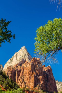Zion National Park, ABD, parlak sahne güz