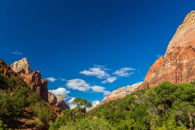 Zion National Park, ABD, parlak sahne güz