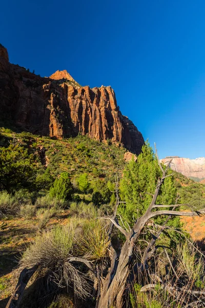 Landschap in Nationaal Park Zion (Utah) — Stockfoto