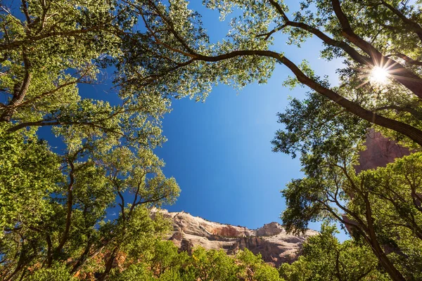 Bela paisagem no Parque Nacional de Zion, Utah — Fotografia de Stock