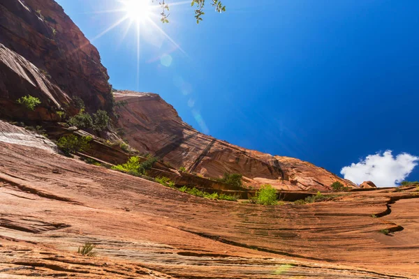 Prachtige natuur in Nationaal Park Zion (Utah) — Stockfoto