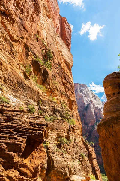 Zion National Park, Utah güzel sahne