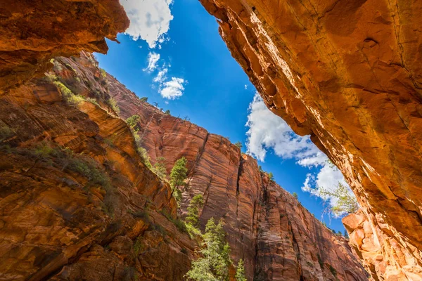 Zion National Park, Utah güzel sahne