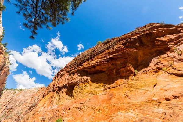Bela paisagem no Parque Nacional de Zion, Utah — Fotografia de Stock