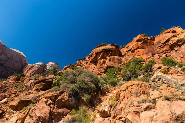 Zion National Park, ABD, parlak sahne güz