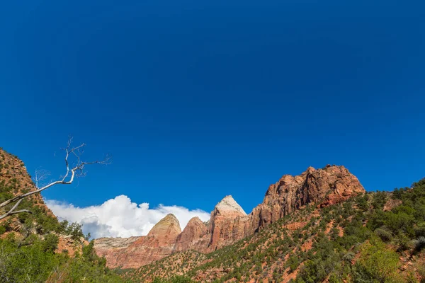 Cenário Brilhante Parque Nacional Zion Eua Outono — Fotografia de Stock