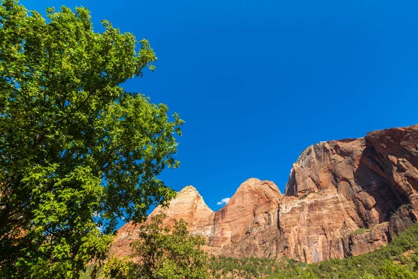 Zion National Park, ABD, parlak sahne güz