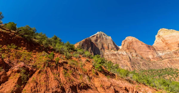 Zion National Park, ABD, parlak sahne güz