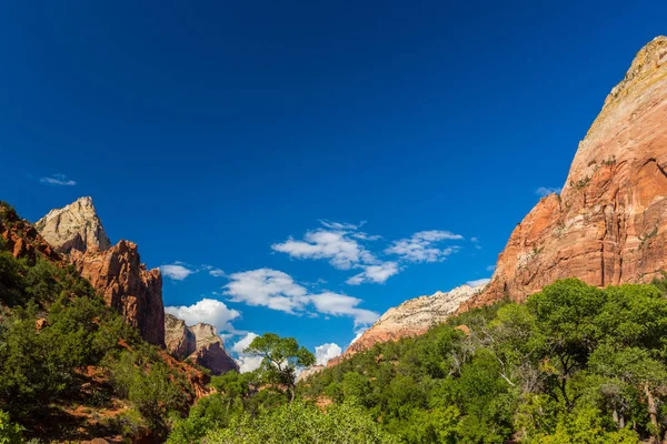 Zion National Park, ABD, parlak sahne güz