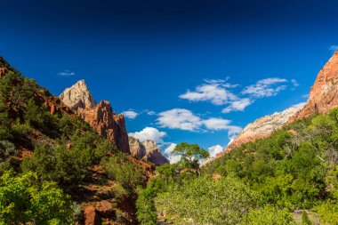 Zion National Park, ABD, parlak sahne güz
