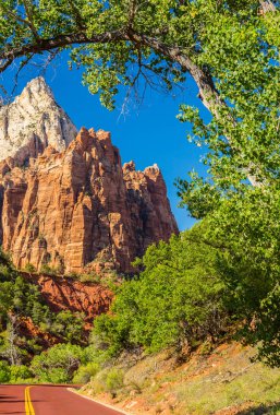 Zion National Park, ABD, parlak sahne güz