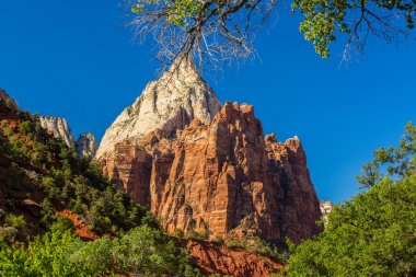 Zion National Park, ABD, parlak sahne güz