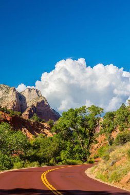 Zion National Park, ABD, parlak sahne güz