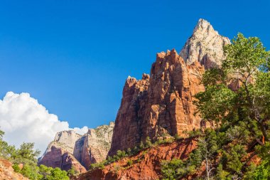 Zion National Park, ABD, parlak sahne güz