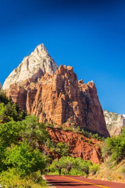 Zion National Park, ABD, parlak sahne güz
