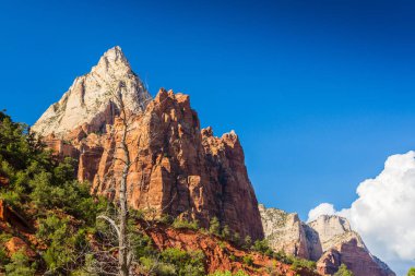 Zion National Park, ABD, parlak sahne güz