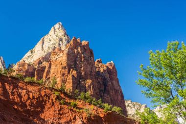 Zion National Park, ABD, parlak sahne güz
