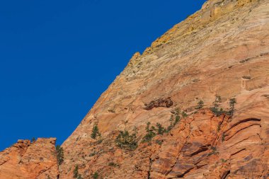 Zion National Park, ABD, parlak sahne güz