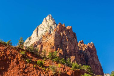 Zion National Park, ABD, parlak sahne güz