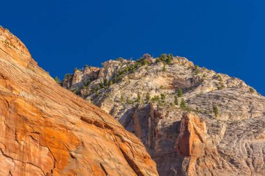 Zion National Park, ABD, parlak sahne güz