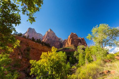 Zion National Park, ABD, parlak sahne güz