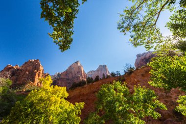 Zion National Park, ABD, parlak sahne güz