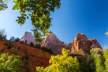 Zion National Park, ABD, parlak sahne güz