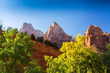 Zion National Park, ABD, parlak sahne güz