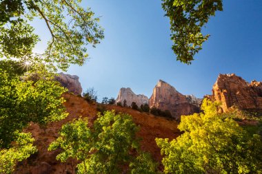 Zion National Park, ABD, parlak sahne güz