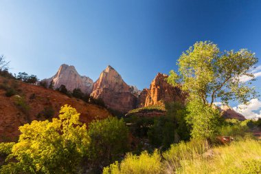 Zion National Park, ABD, parlak sahne güz