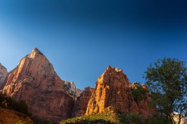 Zion National Park, ABD, parlak sahne güz