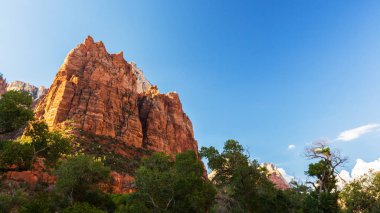 Zion National Park, ABD, parlak sahne güz
