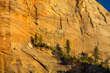 Zion National Park, ABD, parlak sahne güz