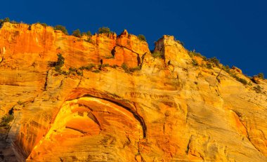 Zion National Park, ABD, parlak sahne güz