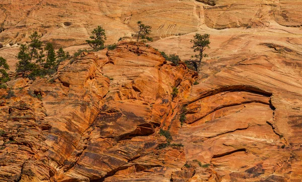 Paisaje Brillante Parque Nacional Zion Estados Unidos Otoño — Foto de Stock