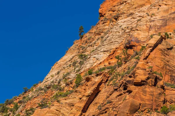 Heldere Landschap Zion National Park Verenigde Staten Herfst — Stockfoto