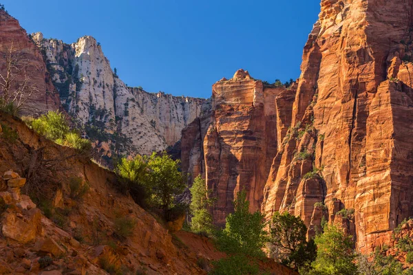 Zion National Park, ABD, parlak sahne güz