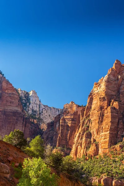 Zion National Park, ABD, parlak sahne güz