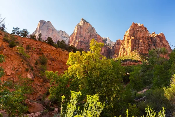 Zion National Park, ABD, parlak sahne güz