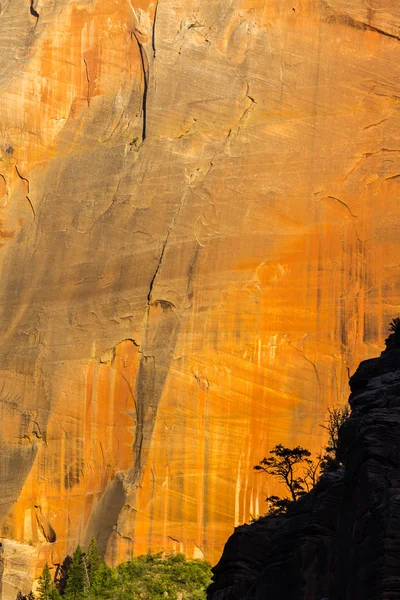 Cenário Brilhante Parque Nacional Zion Eua Outono — Fotografia de Stock