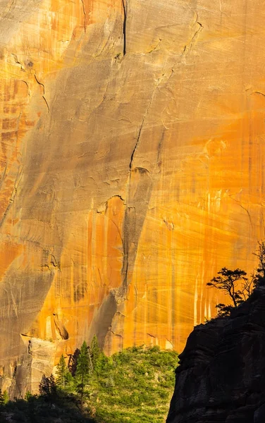 Cenário Brilhante Parque Nacional Zion Eua Outono — Fotografia de Stock