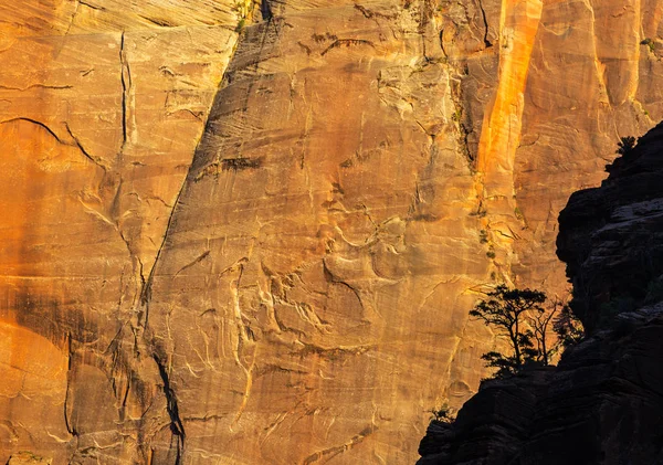 Paysage Lumineux Dans Parc National Zion États Unis Automne — Photo