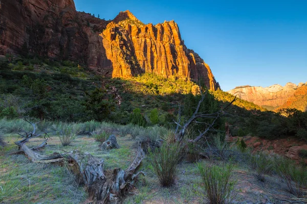Paesaggio Luminoso Zion National Park Usa Autunno — Foto Stock